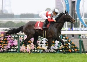 ダノンプレミアムとかいうもやもやする馬