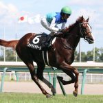 すっかり空気になったけどアドマイヤマーズって弱くないよな