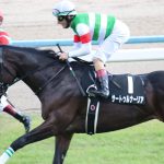 イタリア語由来の馬名←最初に思い浮かんだ馬