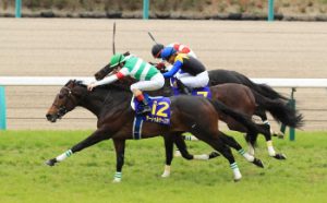 今年のG1、なんか心に残らないレースばかり