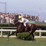 「太陽の帝王」モンテプリンスについて教えて欲しい