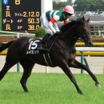 大ブレイクし損ねた競走馬といえば？