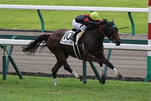 オールポッシブル押さえたヤツなぜ買えた？