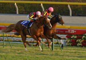 やっぱオルフェーヴルを倒したジェンティルドンナこそ最強牝馬だよな