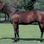 このままトニービン系を絶やしてしまっていいのか？