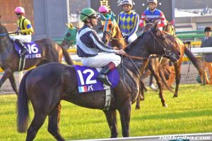 実はバゴって神種牡馬なんじゃね？