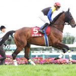 「なんかいっつも走ってんな」って馬