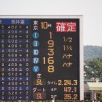 「１着か掲示板外か」と「常に馬券内」→どっちが優秀なの？