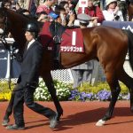 マツリダゴッホ産駒が走りまくる2歳世代ｗｗ