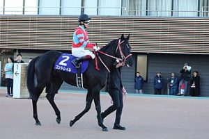 コントレイルってなんで名馬になるの確実みたいな風潮なの?