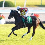 大物感があったような気がしたけど気のせいだった馬