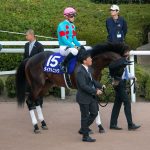 ダイアトニックは予定通りスプリンターズSへ 騎手はルメール