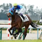 アドマイヤビルゴ大阪杯へ