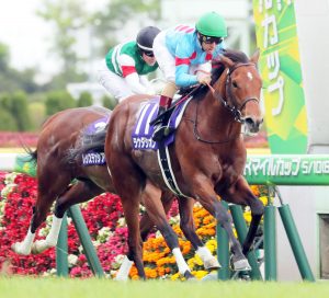 ラウダシオンて種牡馬成功するの？