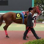 日本競馬史上最強のダート馬がスマートファルコンという風潮
