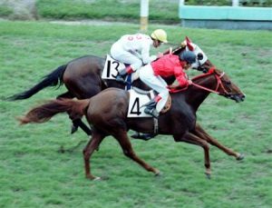 歴代最弱日本ダービー馬四天王論争再燃！オペックホース、タヤスツヨシ、マカヒキ