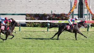 過去の二冠馬や３冠馬の時と比べコントレイル３冠はどれくらい確勝レベル？