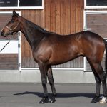 ダービー最有力 サトノスカイターフ出陣