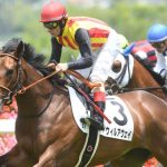 アウィルアウェイなんで買えた？買い要素ないのだが