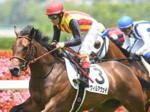 アウィルアウェイなんで買えた?買い要素ないのだが