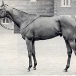 世界史上最強馬ってリボーでいいの？