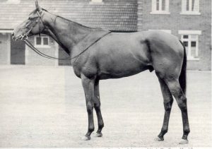 世界史上最強馬ってリボーでいいの?