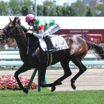 来週の中山記念で一番強そうなクラージュゲリエくんが除外対象という事実