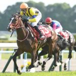 正直に言う、ステイフーリッシュが勝った時萎えた