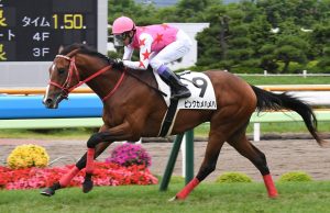 ピンクカメハメハ世代って結構強そうじゃないか？