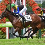 ヨーホーレイク強すぎワロッタwww