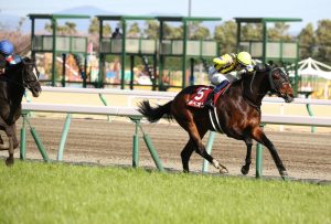 ギベオンが中2週を嫌って大阪杯回避…金鯱賞の存在意義とは？