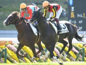 シャフリヤール、種牡馬入りせず… 来年も現役続行へ