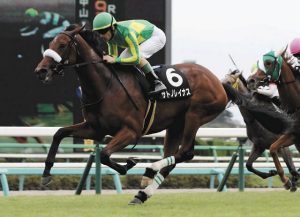 サトノレイナスに重い印打つやつwww