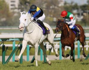 オークスの本名馬、決まらない