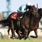 香港遠征、不可能かもしれない