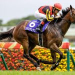 やっぱりマイル最強牝馬はグランアレグリアってことでいいよな?