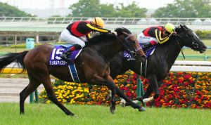 ソングラインとシュネルマイスター、3度目のハナ差