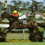 シンザン記念レベル低すぎでは？