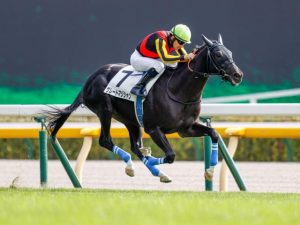 復帰を待ち望んでる馬おるか？