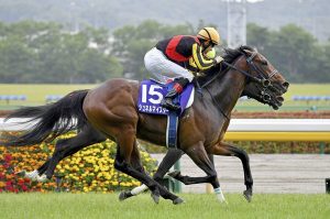 シャネルマイスターそこそこつよくてワロタwww