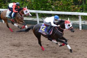 みんながそろそろ忘れていそうな現役馬