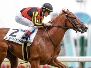 5着ジオグリフ・ルメール騎手「位置取りが後ろすぎました」