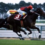 好きなアドマイヤとエイシンあげてけ