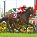 去年の菊花賞の一番人気馬、誰も覚えていない