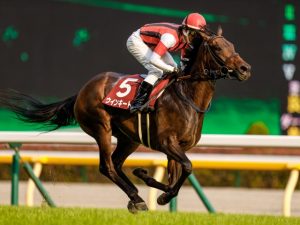 エリザベス女王杯ウインキートス本命にしたいんだけど、騎手が丹内さんという現実。