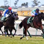 メイケイエールで武リターン炸裂www