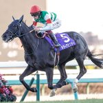 キラーアビリティ陣営「皐月賞の時とは全然違います」