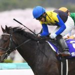 ポタジェ引退、種牡馬入り