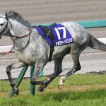 天皇賞春で落馬のシルヴァーソニック目黒記念で復帰
