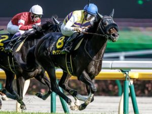 ダービー最終兵器　セイウンハーデス強すぎワロスwww